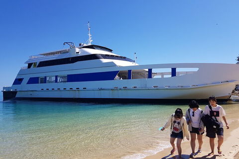 Moreton Island Day Trip (Kayak, Snorkel & Sandboard) Frm Brisbane Or Gold Coast - Pubs Sydney 0