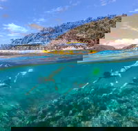 Great Barrier Reef Scenic Flight and Ocean Rafting Whitehaven Beach Day Trip - Pubs Sydney