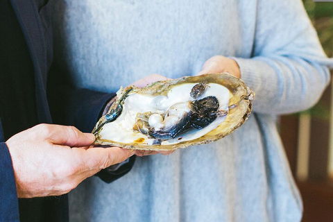Half-Day Willie Creek Pearl Farm Tour With Helicopter Flight - Pubs Sydney 3