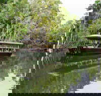 Hartley's Crocodile Adventures Breakfast with the Koalas - Pubs Sydney