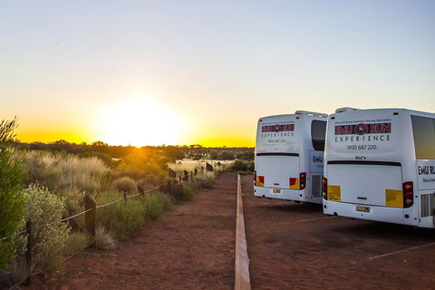 Uluru And Kata Tjuta Experience With BBQ Dinner - Pubs Sydney 2