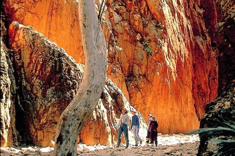 West MacDonnell Ranges Day Trip From Alice Springs - Pubs Sydney 3