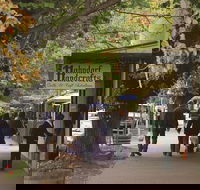 Adelaide Highlights Hahndorf  McLaren Vale Wine Tasting and Sightseeing Tour - Pubs Sydney