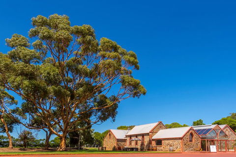 McLaren Vale And Glenelg Wine Tasting And Sightseeing (Half-day Afternoon) - Pubs Sydney 5