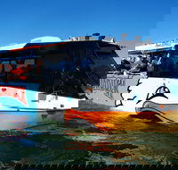 Paradise Jet Boating and Aquaduck Combo - Pubs Sydney