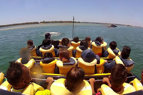 Jet Boat Express Ride - 30mins - Pubs Sydney 5