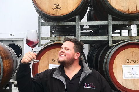 Mount Tamborine Wine Tasting Tour From Brisbane Or The Gold Coast - Pubs Sydney 2