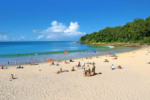 Noosa Everglades Serenity Cruise & Highlights Tour Inc. Lunch & Cruise - Pubs Sydney 4