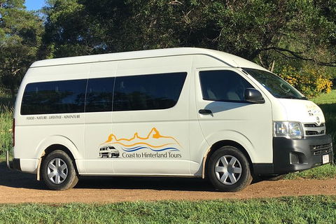 Noosa Everglades Serenity Cruise & Highlights Tour Inc. Lunch & Cruise - Pubs Sydney 5