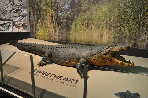 Explore Darwin City Sights Including Key Attractions - Pubs Sydney 2
