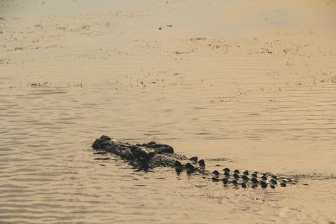 Yellow Water Cruise - Kakadu - Pubs Sydney 2