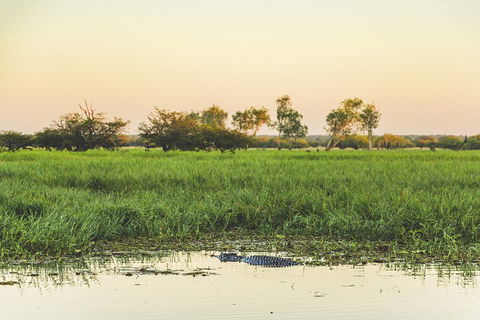 Yellow Water Cruise - Kakadu - Pubs Sydney 3