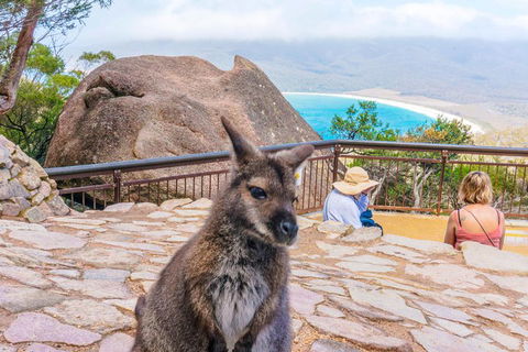 Wineglass Bay & Freycinet NP Full Day Tour From Hobart Via Richmond Village - Pubs Sydney 0