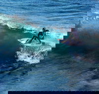 Great Ocean Road Highlights Tour - 2 Days 1 Night - Pubs Sydney