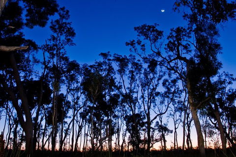Small-Group Kangaroo Island 4WD Night Tour - Pubs Sydney 2