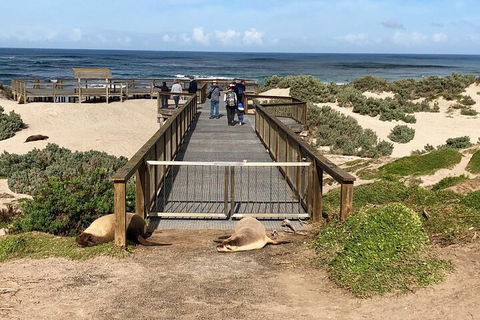 Kangaroo Island 4WD Tour - Best Of KI - Pubs Sydney 2