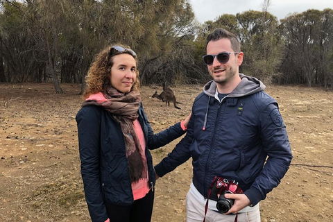 Kangaroo Island 4WD Tour - Best Of KI - Pubs Sydney 3