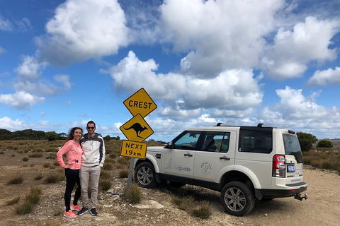 Kangaroo Island 4WD Tour - Best Of KI - Pubs Sydney 5