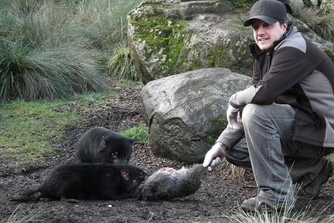 After Dark Tasmanian Devil Feeding Tour At Cradle Mountain - Pubs Sydney 2