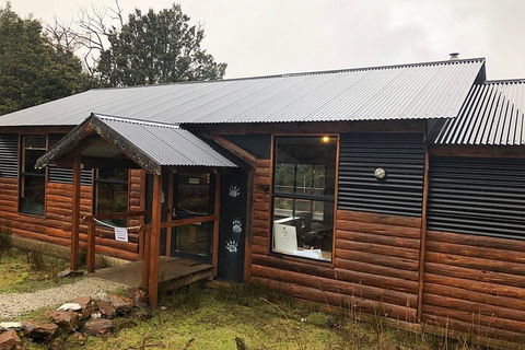After Dark Tasmanian Devil Feeding Tour At Cradle Mountain - Pubs Sydney 3