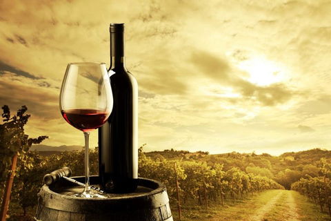 Barossa Valley Cellar Doors Luxury Wine Tour - Pubs Sydney 0