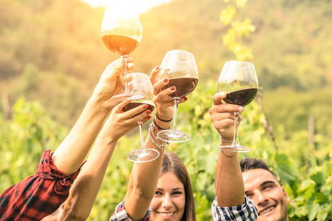 Barossa Valley Cellar Doors Luxury Wine Tour - Pubs Sydney 1