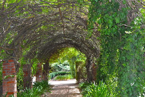 Barossa Valley Cellar Doors Luxury Wine Tour - Pubs Sydney 3