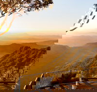 O'Reilly's  Lamington National Park incl. Alpaca Farm  Vineyard - Pubs Sydney