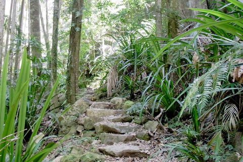 Byron Bay Combo: Minyon Falls And Hinterland Day Trip And Learn To Surf At Byron Bay - Pubs Sydney 3