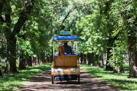 Adelaide 90-Minute Pedicab Tour: Scenic Green & River Experience - Pubs Sydney 2