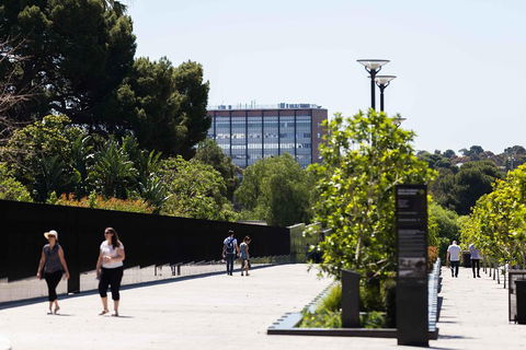 Adelaide 90-Minute Pedicab Tour: Scenic Green & River Experience - Pubs Sydney 4