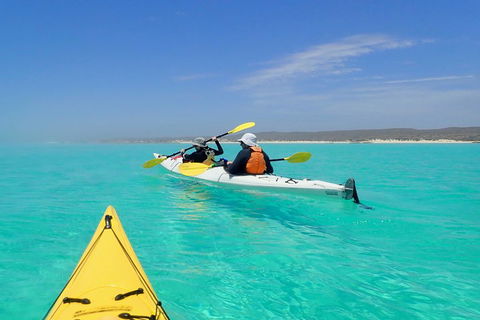 Lagoon Explorer - Ningaloo Reef Full-Day Kayaking And Snorkeling Adventure - Pubs Sydney 0