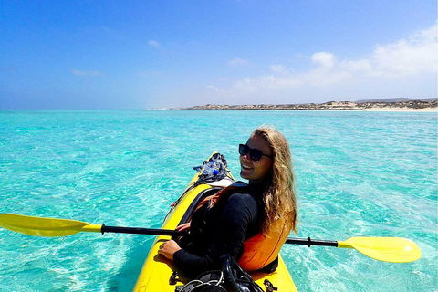 Lagoon Explorer - Ningaloo Reef Full-Day Kayaking And Snorkeling Adventure - Pubs Sydney 1