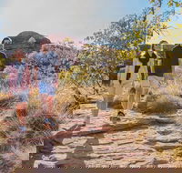 Kings Canyon Day Trip from Ayers Rock Uluru - Pubs Sydney