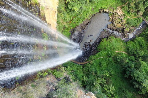Natural Bridge & Springbrook Waterfalls Tour + Hot Air Balloon With Breakfast - Pubs Sydney 1