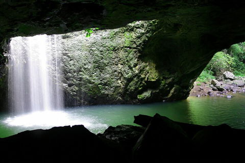 Natural Bridge & Springbrook Waterfalls Tour + Hot Air Balloon With Breakfast - Pubs Sydney 2