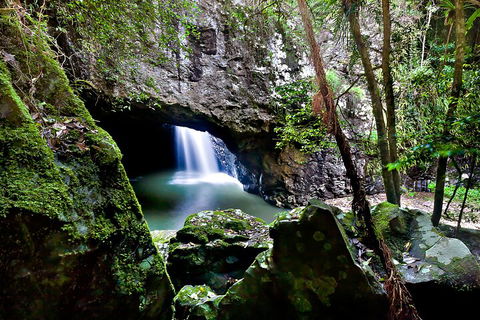 Natural Bridge & Springbrook Waterfalls Tour + Hot Air Balloon With Breakfast - Pubs Sydney 4