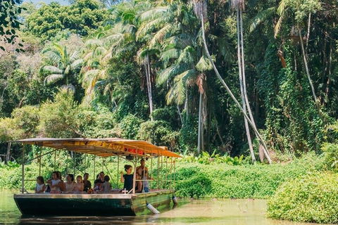 Tropical Fruit World Farm Full Tour - Pubs Sydney 0