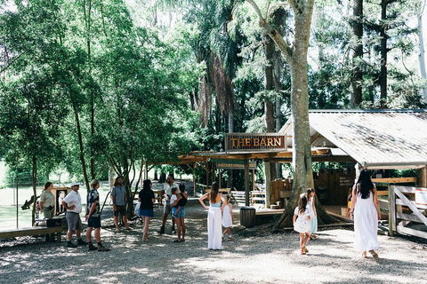Tropical Fruit World Farm Full Tour - Pubs Sydney 3