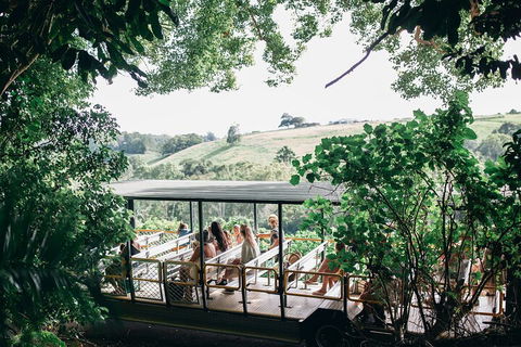 Tropical Fruit World Farm Full Tour - Pubs Sydney 4