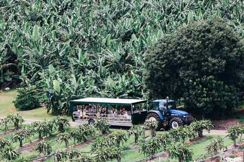 Tropical Fruit World Farm Full Tour - Pubs Sydney 5