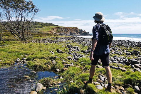 Half Day Guided Small Group Walk - Pubs Sydney 0