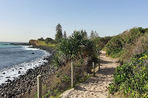 Half Day Guided Small Group Walk - Pubs Sydney 2