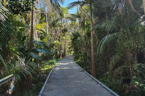 Half Day Guided Small Group Walk - Pubs Sydney 3