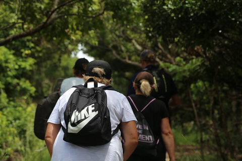 Half Day Guided Small Group Walk - Pubs Sydney 4