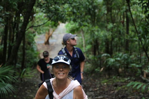 Half Day Guided Small Group Walk - Pubs Sydney 5