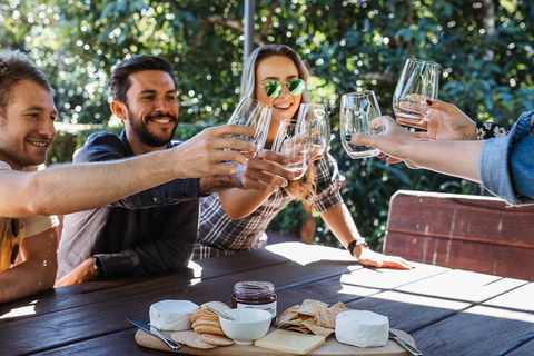 Full-day Wine-Tasting And Tamborine Mountain Tour With Lunch - Pubs Sydney 0