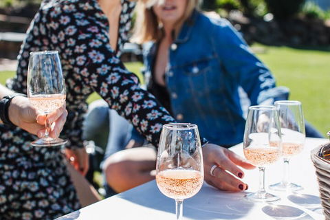 Full-day Wine-Tasting And Tamborine Mountain Tour With Lunch - Pubs Sydney 1