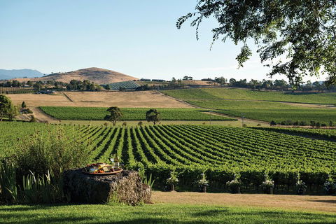 Small Group 6 Guests: Ultimate Yarra Valley Food And Wine - Mercedes Van - Pubs Sydney 4