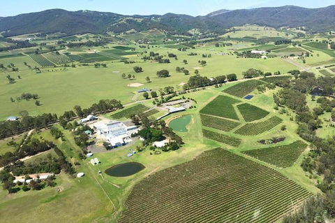 Helicopter Tour Of Hunter Valley In New South Wales With Lunch - Pubs Sydney 4